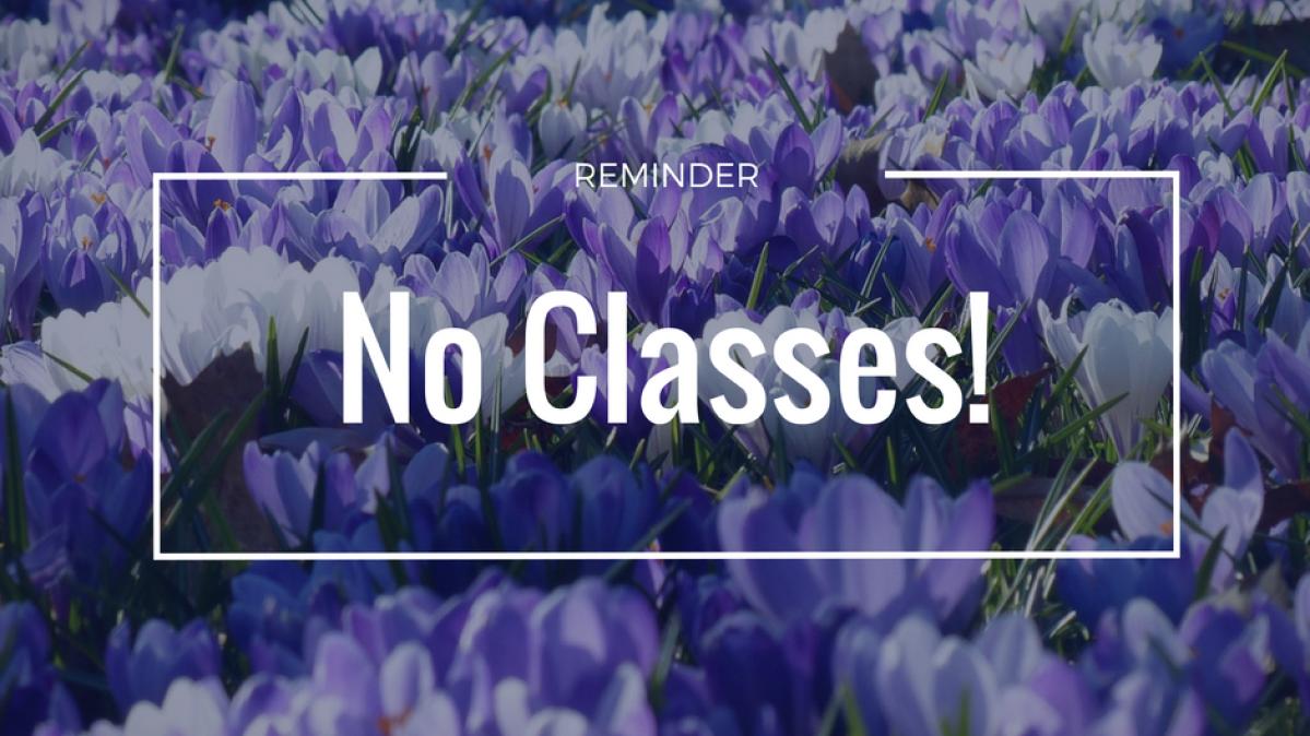 field of flowers with words "No Classes"