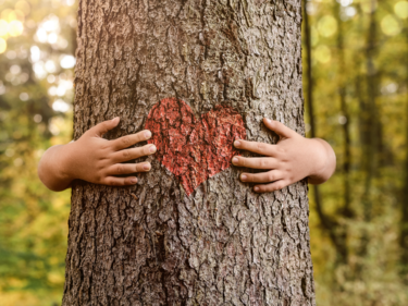 Large tree with arms wrapped around it and a drawn heart in the middle of the tree between the two hands