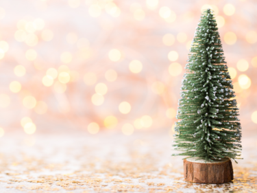 Small decorative Christmas tree with lights in background