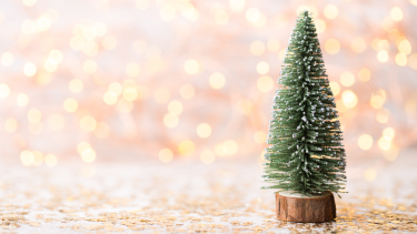 Small decorative Christmas tree with lights in background