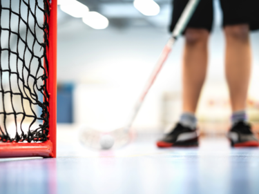 hockey net and child with hockey stick