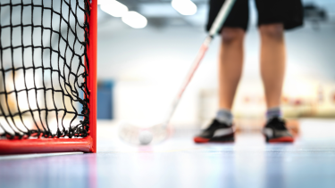 hockey net and child with hockey stick